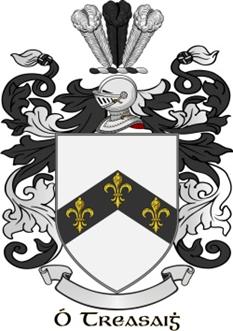 aaron arms.jpg