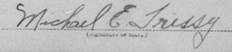 tresyy sig.jpg