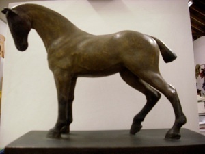DSCI0560